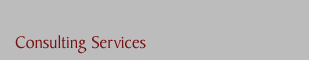 Consulting Services