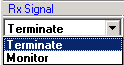 Terminate and Monitor Rx Signal options