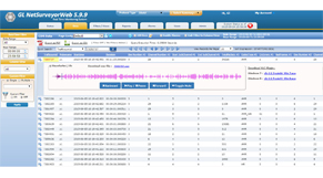 Wireless Network Monitoring and Surveillance System