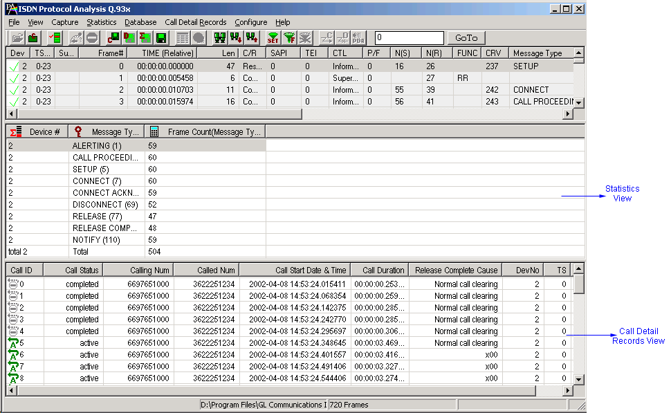 Statistics and Call Detail Record View