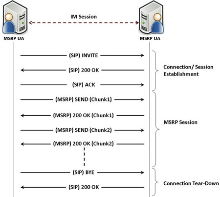 Typical IM simulation procedure