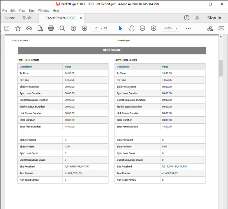 BERT Report Generated in PDF File Format