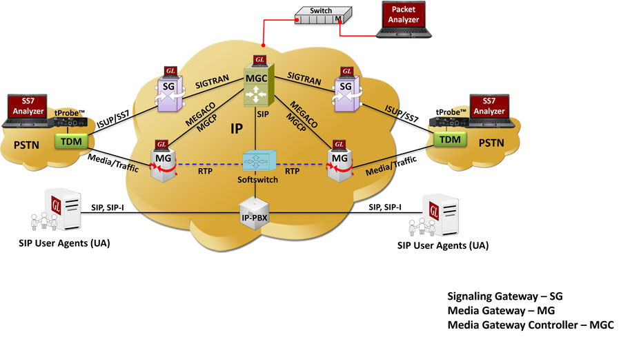 Complete Emulation of Hybrid TDM/VoIP Network