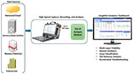 TCP and IP Analytics