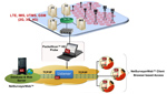 Cellular Network Monitoring Solution